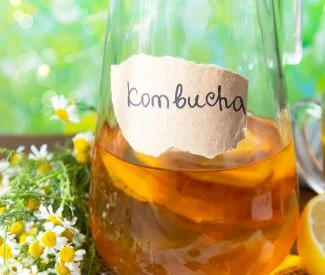 waarom kombucha kopen een goed idee is