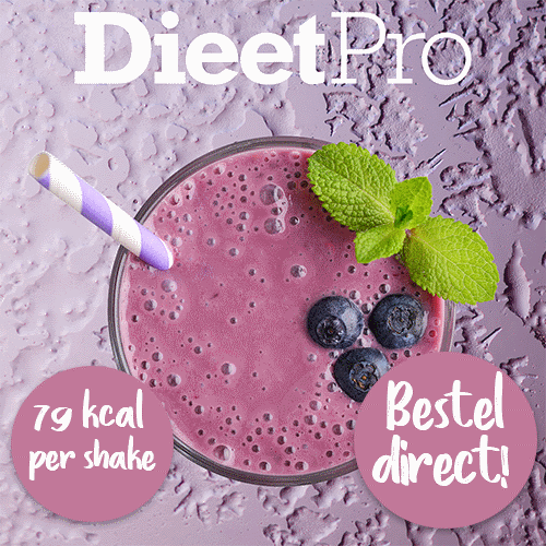razendsnel afvallen met dieetpro razendsnel afvallen met dieetpro
