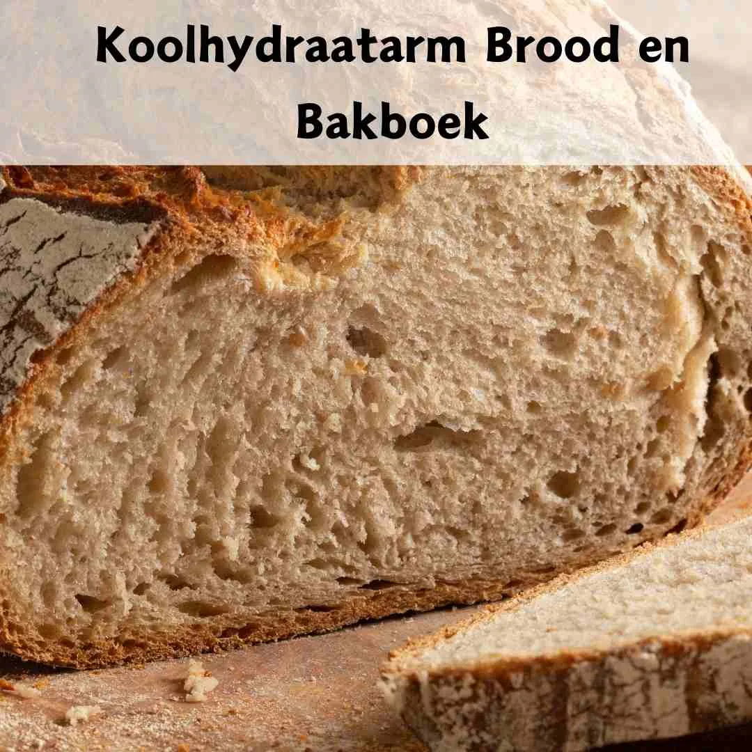 beste koolhydraatarme dieet