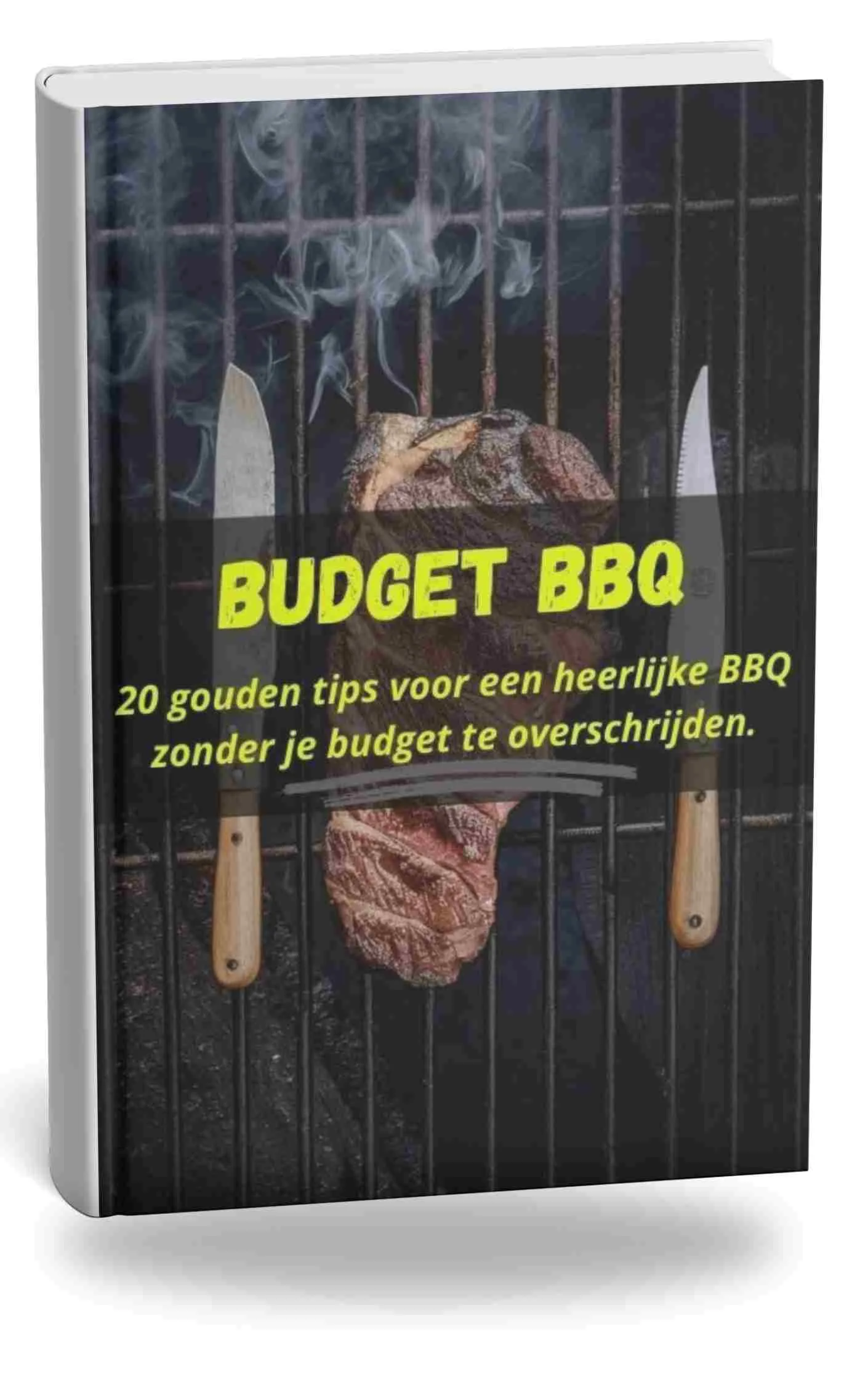 BUDGET bbq - BBQ BITES