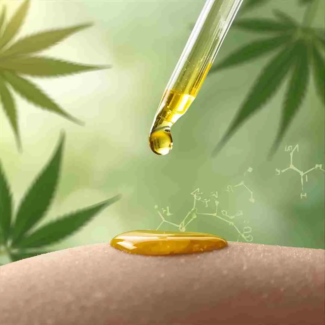 cbda olie van 24Taste