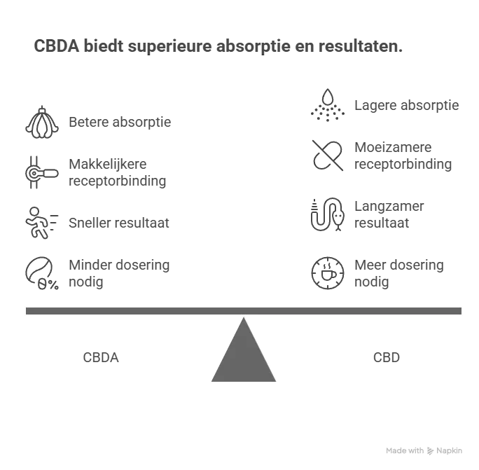 beste cbd olie van nederland