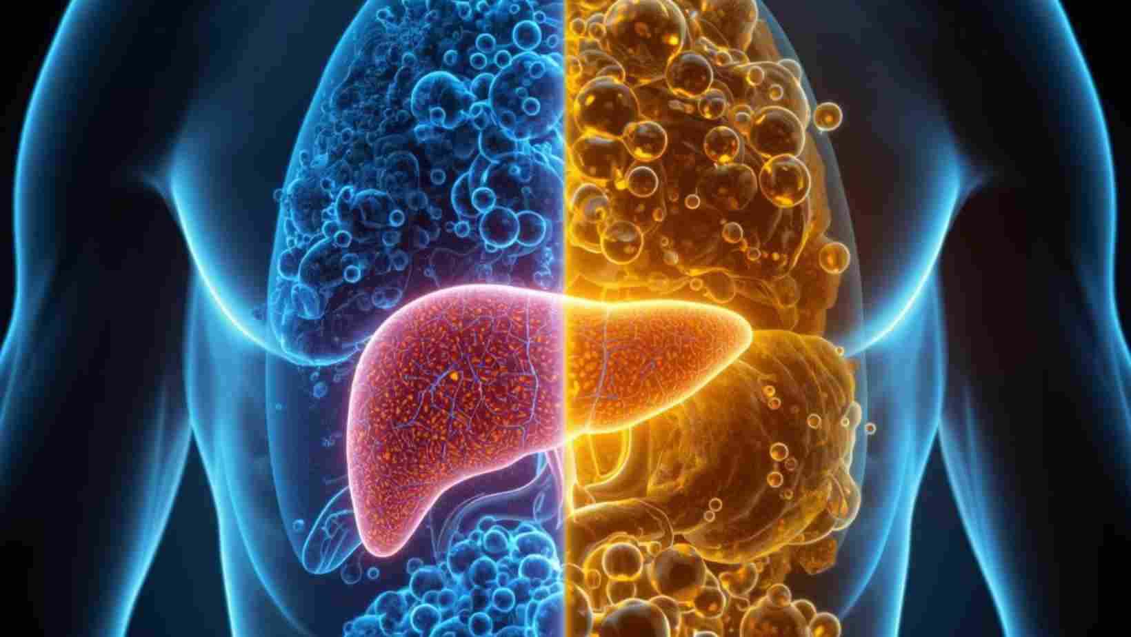 hoe raak je sneller in ketose